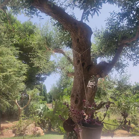 Dea Casa de Férias *