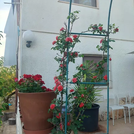 Nyaraló Dea