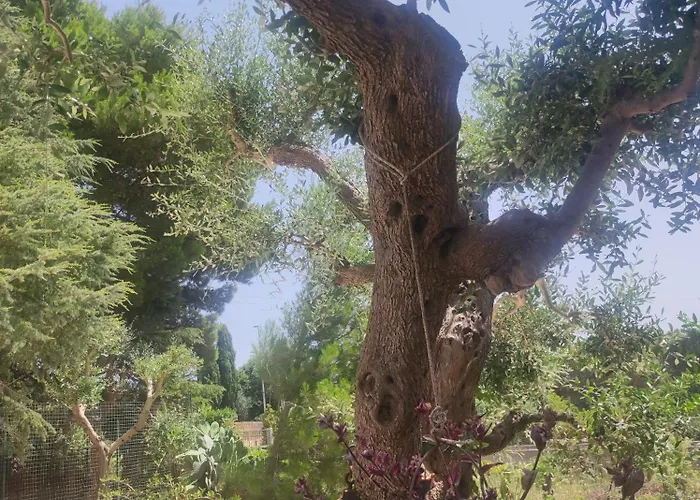 Dea Сasa de vacaciones *